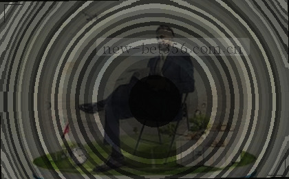 数据点交织成动态网络